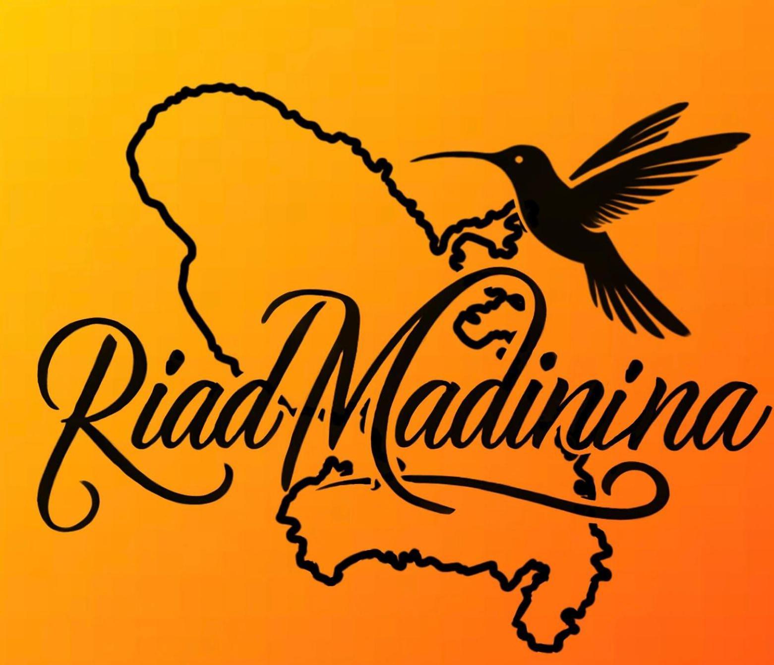 Riad Madinina Μαρακές Εξωτερικό φωτογραφία